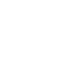 Francino Law - Denton criminal defense attorney - Free Consultation